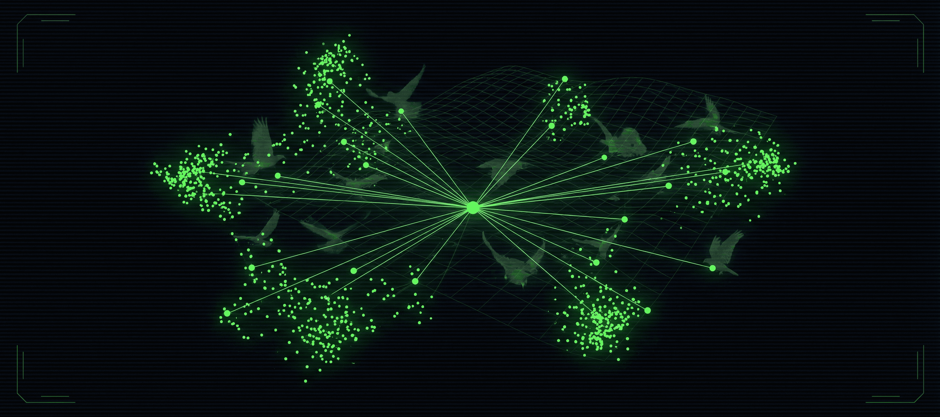 kNN RECOMMENDER SYSTEM — Avian Species Classification